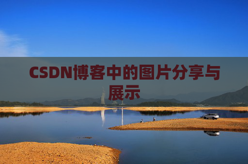 CSDN博客中的图片分享与展示